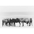 thumbnail image 2 of Curinga, Kim 14x11 Black Modern Framed Museum Art Print Titled - Beach Horse Group, 2 of 4