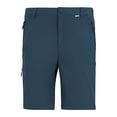 thumbnail image 3 of Regatta Mens Lightweight Insect Repellent Travel Cargo Trousers, 3 of 5