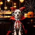 thumbnail image 6 of YYDENG Halloween Pet Vampire Cape Costume Set With Devil Horn Headband, Festive Cosplay Outfit for Cats & Small Medium Dogs, Holiday Party Photo Prop, 6 of 8