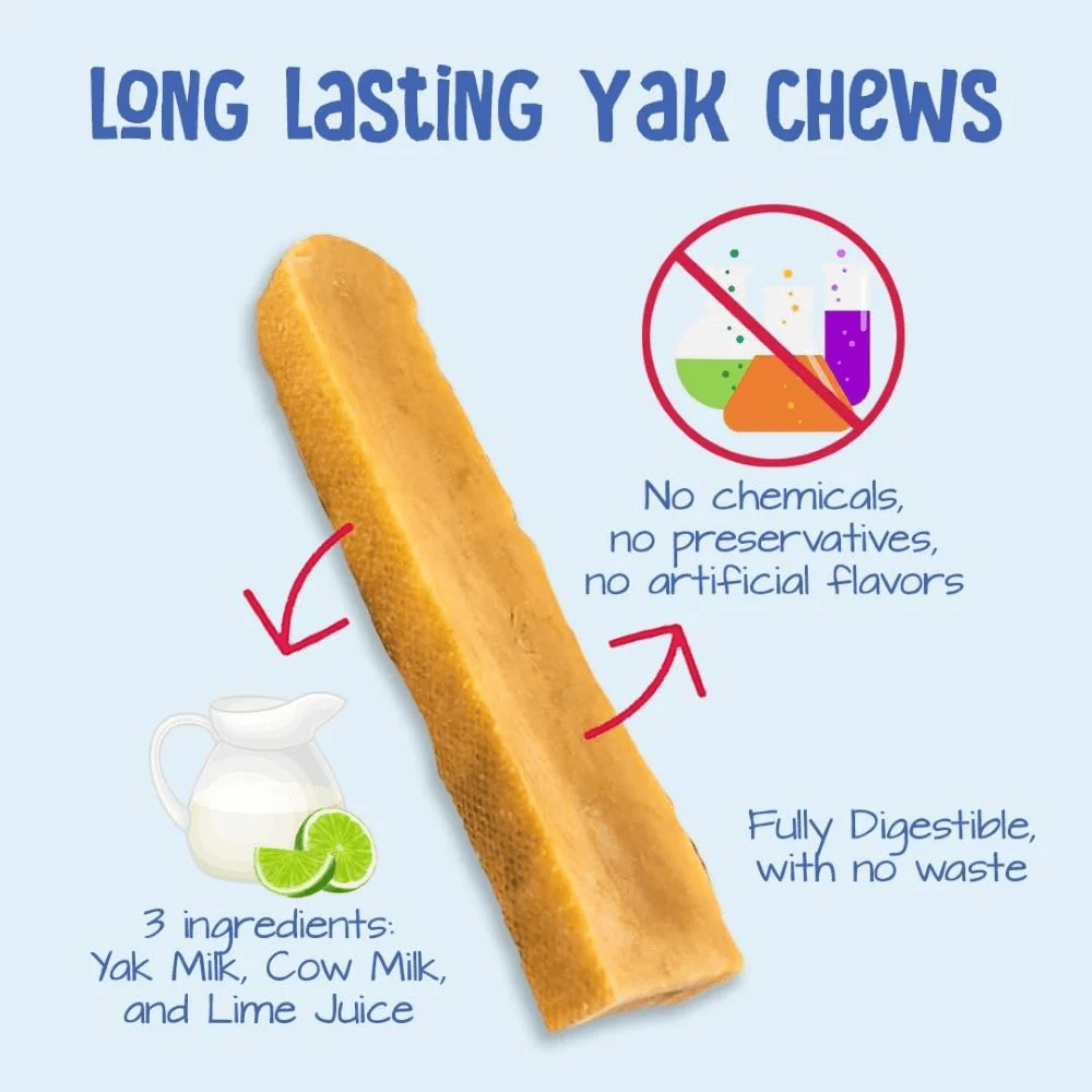 Yeti Dog Chew Coconut Himalayan Chews for Dogs, 3 lb, 14 Pieces Box