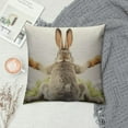 thumbnail image 2 of ONETECH  Throw Pillow Case Cover Grey Rabbit Isolated on A White Background Bunny Tail Back - Soft Pillow Case for Decorative Bedroom/Livingroom/Sofa/Farm House - Cushion Covers, 2 of 5