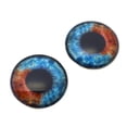 thumbnail image 4 of Heterochromia Dual Blue and Brown Human Glass Eyes, 4 of 11
