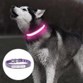 thumbnail image 3 of Collar para perros sin olor de Dublin Dog para todos los estilos, 3 of 5