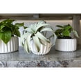 thumbnail image 5 of Bloomingville Various Round Fluted Stoneware Flower Pots, White, Set of 2, 5 of 5
