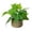 Multicolor M, variant on Yatlte Small Fake Plants, Artificial Potted Plants with Seagrass Pots | Handwoven Seagrass Pots, Plant Designs, Shelf & Tabletop Decor, Realistic Faux Greenery, Farmhouse & Boho Decor