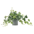thumbnail image 5 of Aesthetic Hanging Fake Plant in White Pot 14.2 in Viral Home Decor Realistic Faux Pothos Indoor Plant for Bedroom Bathroom Desk Shelf No Maintenance Modern Room Decor Greenery, 5 of 8