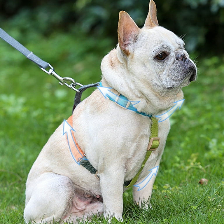 Dog top harness design