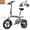 White, variant on FLYRUN Electric Bike, 14" Folding Ebike for Adults, 500W Peak Motor, 36V 280.8Wh Battery, 20MPH City Commuter E-Bike, LCD Display, UL2849