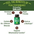 thumbnail image 2 of PrimaVie Purified Shilajit Capsules with Fulvic Acid, Supports Mitochondria and Brain Function, 2 of 7