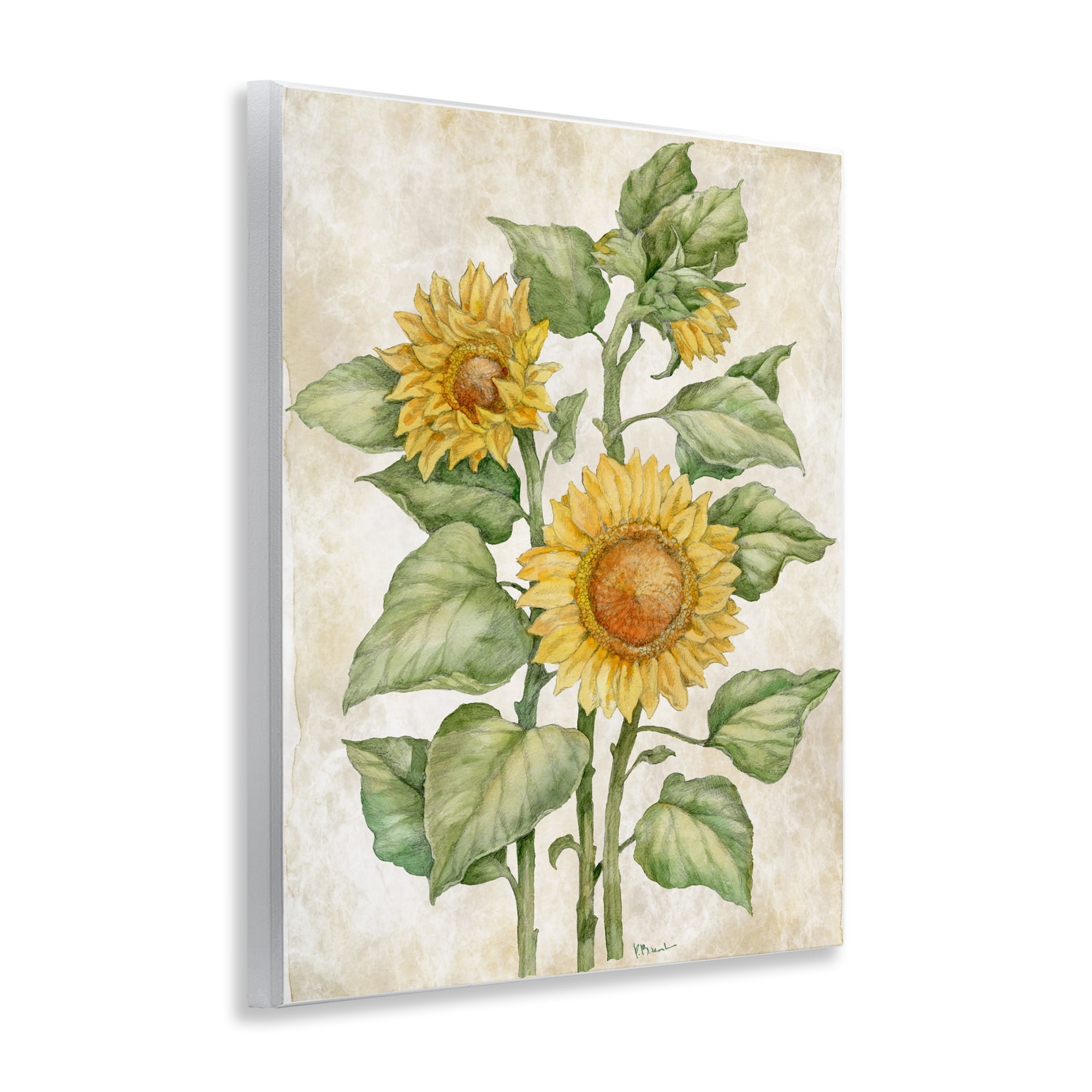 Stupell Industries Floral Journal Sunflower Wall Plaque Art, design by Paul Brent