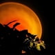 thumbnail image 3 of 180 Rotation 5w Projection Sunset Lamp (sunset Red), 3 of 5