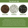 thumbnail image 5 of Terrarium Potting Soil Mix (8 Quarts), w/ Blended Filtering Charcoal Custom Made for Terrariums, 5 of 9