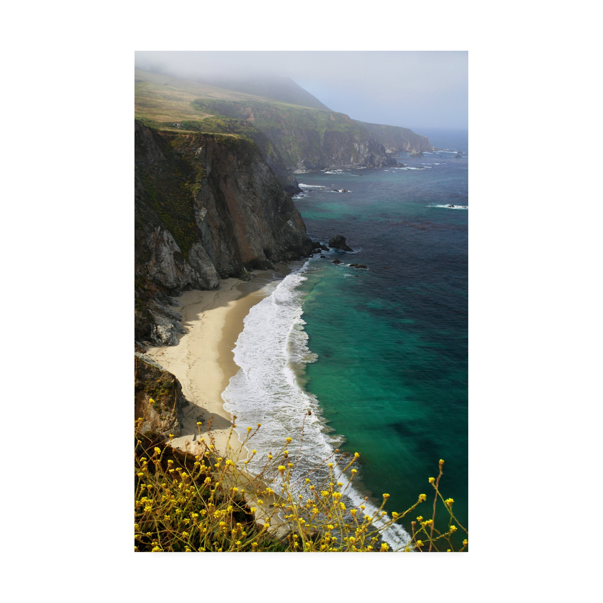 Trademark Fine Art 'Big Sur Coast Mountain' Canvas Art by Winthrope