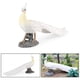 thumbnail image 4 of Estatua Realista De Figura De Pavo Real Para Regalo De Cumpleaños, Juguete Interior Y Exterior Sunnimix estatuilla de animales, 4 of 8