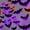 Bat*24pcs, variant on Jinswick 24 Pack Light Up Bats Halloween Decor LED Lights for Halloween, Glow in The Dark Wall Decor, 3D Lighted Bat with Twinkling Effects for Indoor & Outdoor​ (Bats)