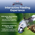 thumbnail image 3 of Armstrong Wild Bird Food Peanut Coil Feeder, 3 of 6