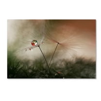 Trademark Fine Art 'With And Without' Canvas Art by Heidi Westum