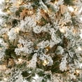 National Tree Company First Traditions PreLit Acacia Flocked Tree