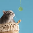thumbnail image 3 of PEACNNG Cactus Scratching Post Small Cat Tree for Indoor Cats Green, 3 of 8
