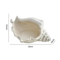 thumbnail image 3 of Dongrere Ceramic Conch Jewelry Desktop Ornament Storage Tray Conch Trinket, 3 of 8