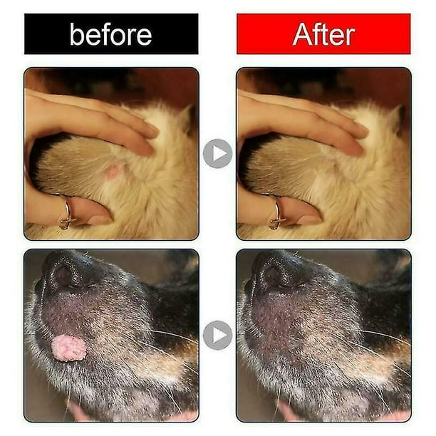 Canine skin tag removal outlet