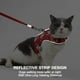 thumbnail image 3 of Juego de arnés y correa para gatitos y gatos, a prueba de fugas, arnés transpirable ajustable para cachorros de gatos con juego de correa para caminar WD.WDQZL Hogar, 3 of 5