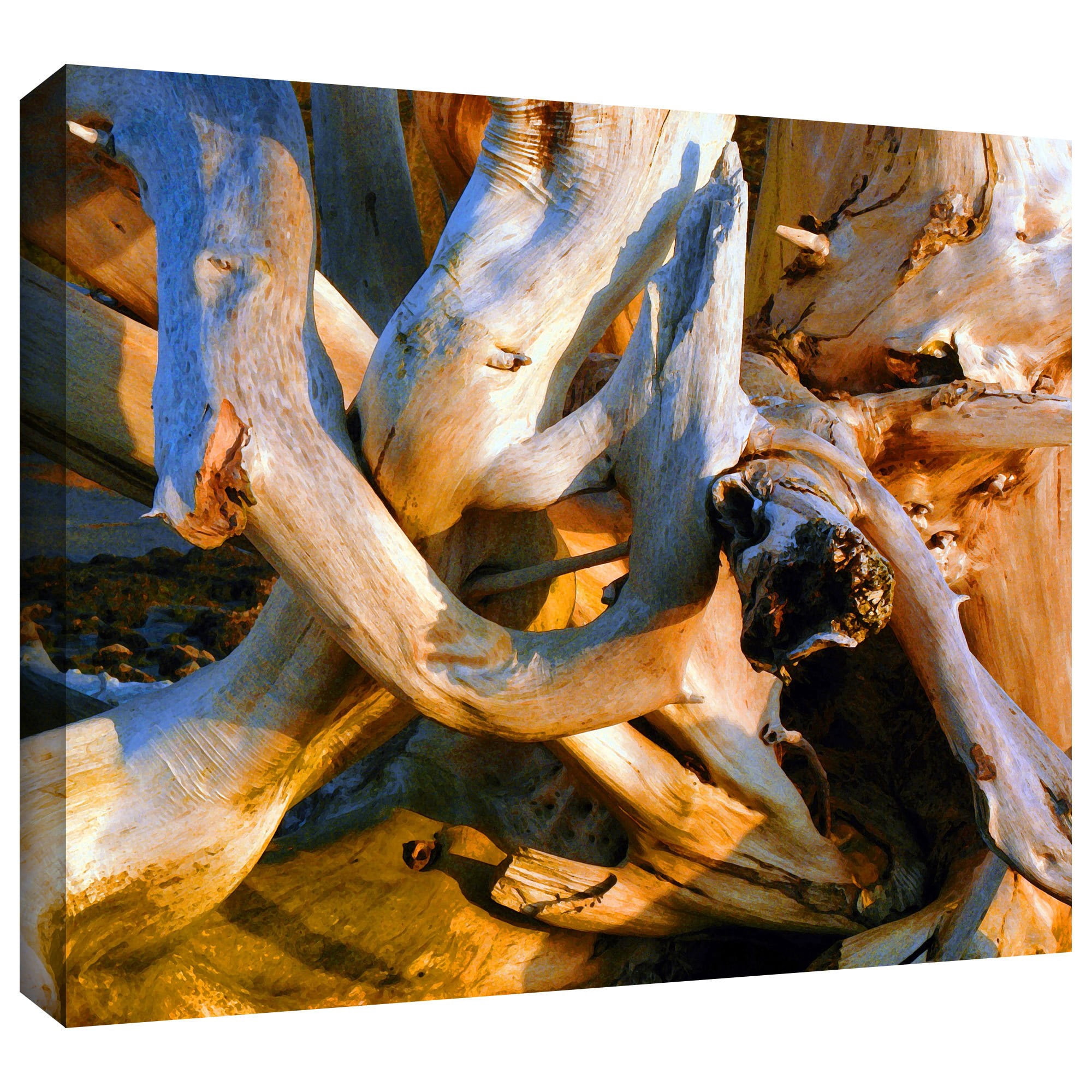 Dean Uhlinger "Drift Log Detail" Gallery-Wrapped Canvas