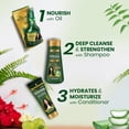 thumbnail image 4 of Garnier Fructis Style Gel en aerosol definidor de forma de rizo sin encrespamiento, 8.5 onzas líquidas, 3 unidades (el empaque puede variar) Garnier NA, 4 of 5