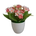 thumbnail image 1 of Decoración floral plástica del escritorio de la casa de la flor de la simulación del paño de las flores artificiales en maceta, rosa Noticed HA7819-02B, 1 of 6