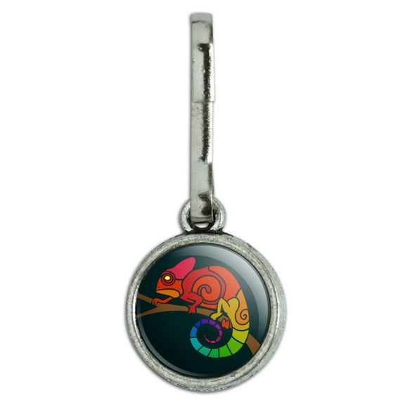 Rainbow Chameleon Antiqued Charm Clothes Purse Suitcase Backpack Zipper Pull Aid