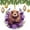 Pattern-4, variant on Marmot, Groundhog Animal with Purple Floral Christmas Ornament Cute Animal 3" Ceramic Christmas Ornament Ornament for Christmas Tree for Woman Friend Birthday