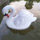 thumbnail image 1 of Ganfancp Adornos de Resina Artesanía de Jardín Decoraciones Acuáticas Ofertas y Liquidaciones 1X Pato de Resina, 1 of 4