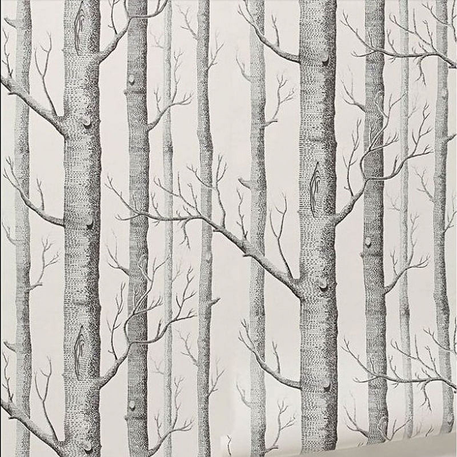 Alexsix Birch Tree Wallpaper Modern Decor Wall Paper Roll Forest Wood  Wallpapers for Bedroom Living Room