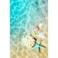 thumbnail image 2 of Star Fish Shell Ocean Beach Theme Indoor Outdoor Area Rug 5'x6' Multi Non-Shedding Reversible Rug for Patio Deck Backyard Balcony Living Dining Room Bedroom Carpet, 2 of 6