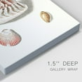 thumbnail image 3 of Pastel Knorr Shells VII Premium Gallery Wrapped Canvas - Ready to Hang, 3 of 9