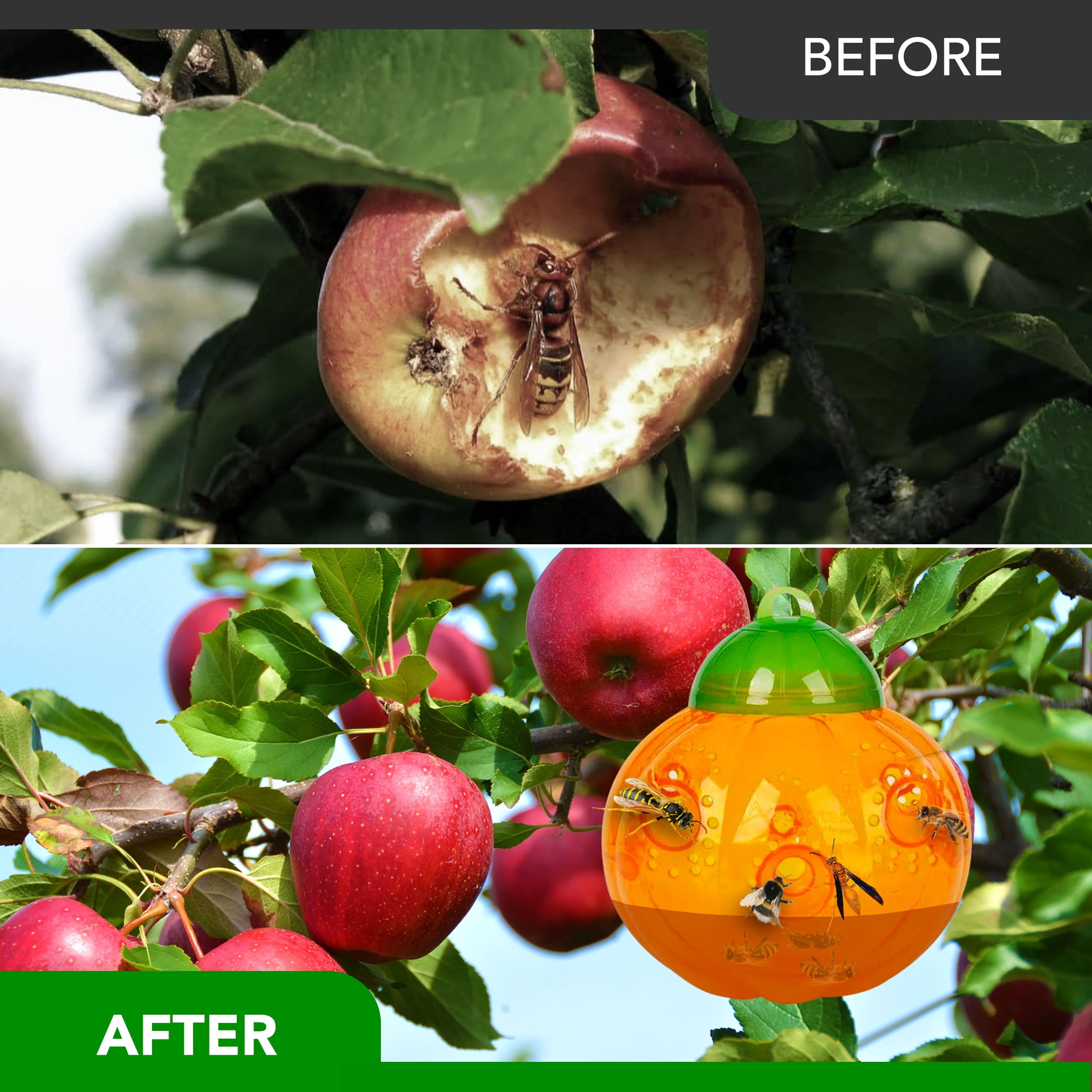 Aspectek Wasp Trap - Wasp Trap Catcher, Bee Trap, Outdoor Wasp Deterrent Killer Insect Catcher Honeybee Trap