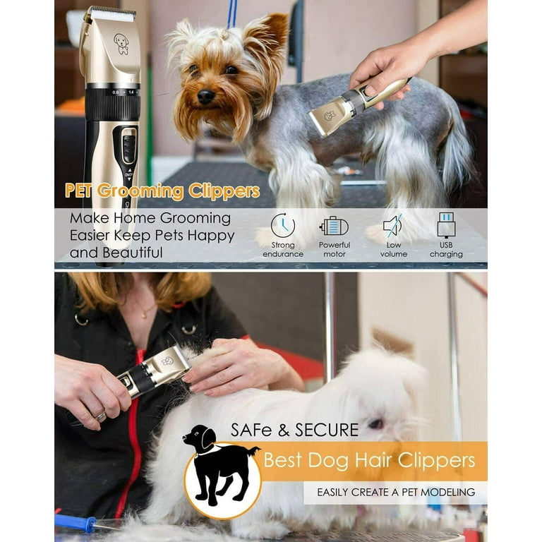 Professional dog on sale grooming clippers