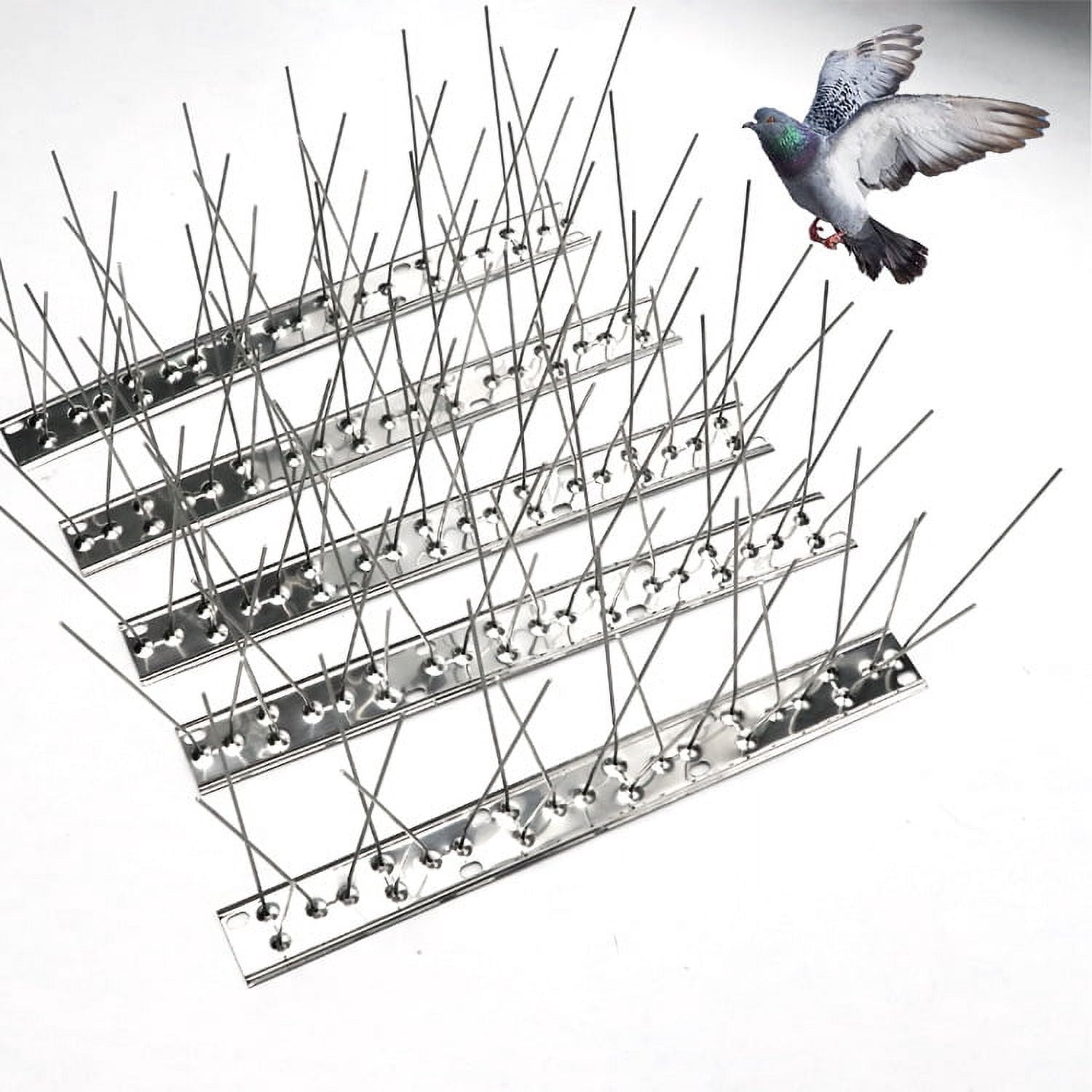 Pinchos Para P jaros Para Palomas P jaros Peque os Gatos Pinchos pinchos-para-p-jaros-para-palomas-p-jaros-peque-os-gatos-pinchos