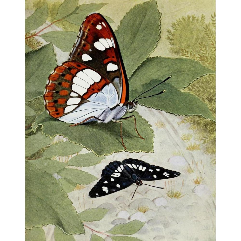 Paul-Andre Robert 15x18 Black Modern Framed Museum Art Print Titled - Le Sylvain Azure (1934)