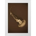 thumbnail image 3 of Erin Berzel 23x32 White Modern Wood Framed Wall Art Titled - Sea Nettle III, 3 of 5