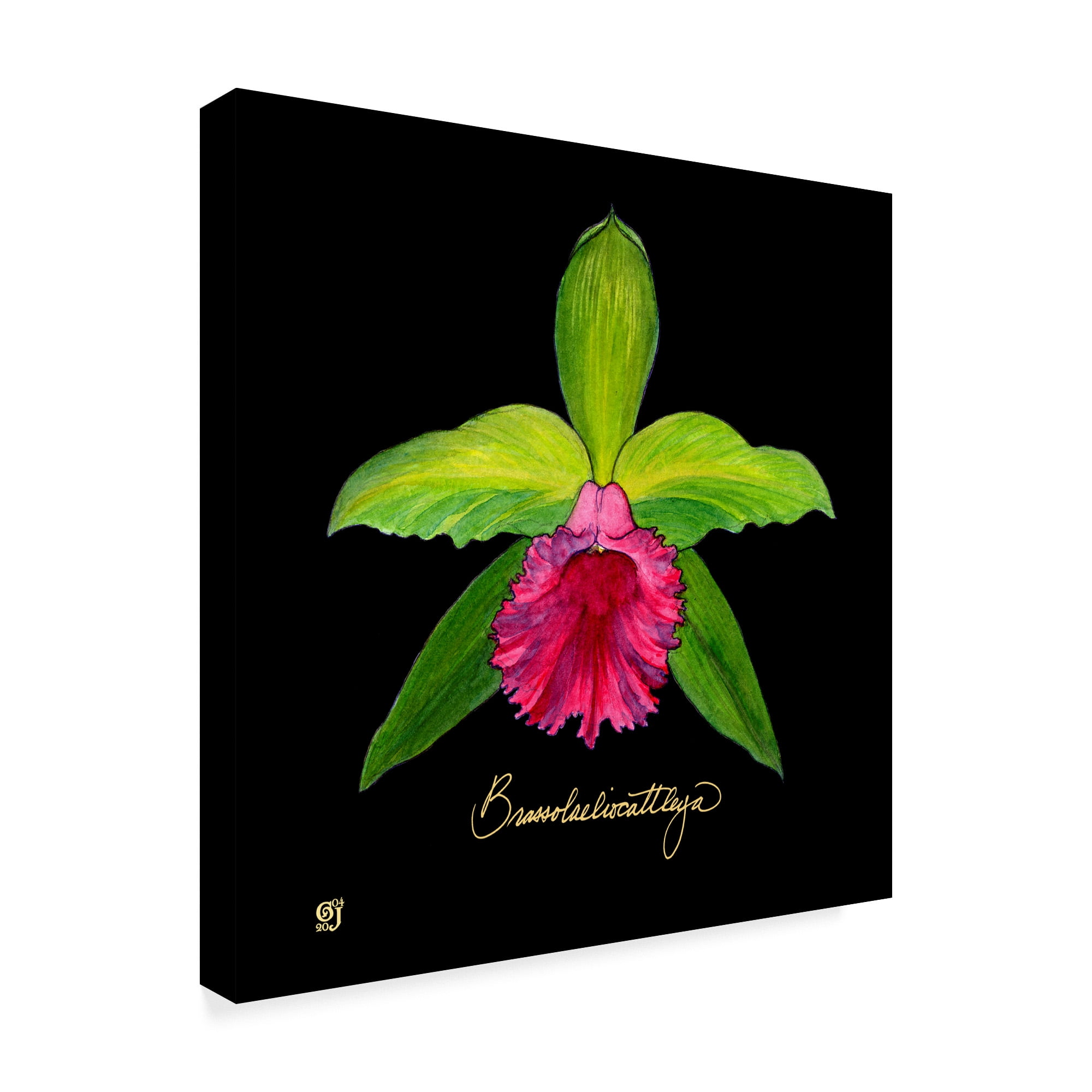 Trademark Fine Art 'Vivid Orchid I' Canvas Art by Ginny Joyner