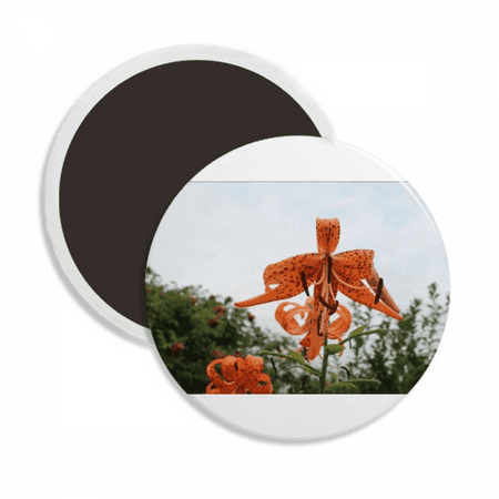 

Orange River Lily Art Deco Fashion Round Ceracs Fridge Magnet Keepsake Decoration