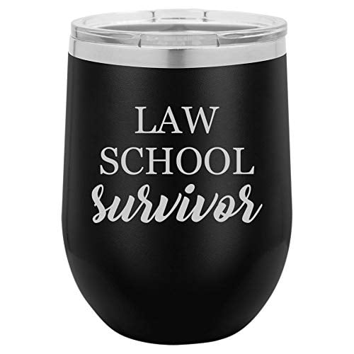 Cleaning Brush and Gift Box Law Students Gift Funny Lawyer Paralegal Gift 2 Pack Because Law School 12 oz Stainless Steel Wine Tumbler with Lid Straw 