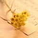 thumbnail image 1 of Mini crisantemo estrella, accesorios para disparar, flores secas, margaritas pequeñas, flores de estrella pequeñas, gelatina, lápiz labial, bola de cristal, flores de bricolaje, 1 of 2
