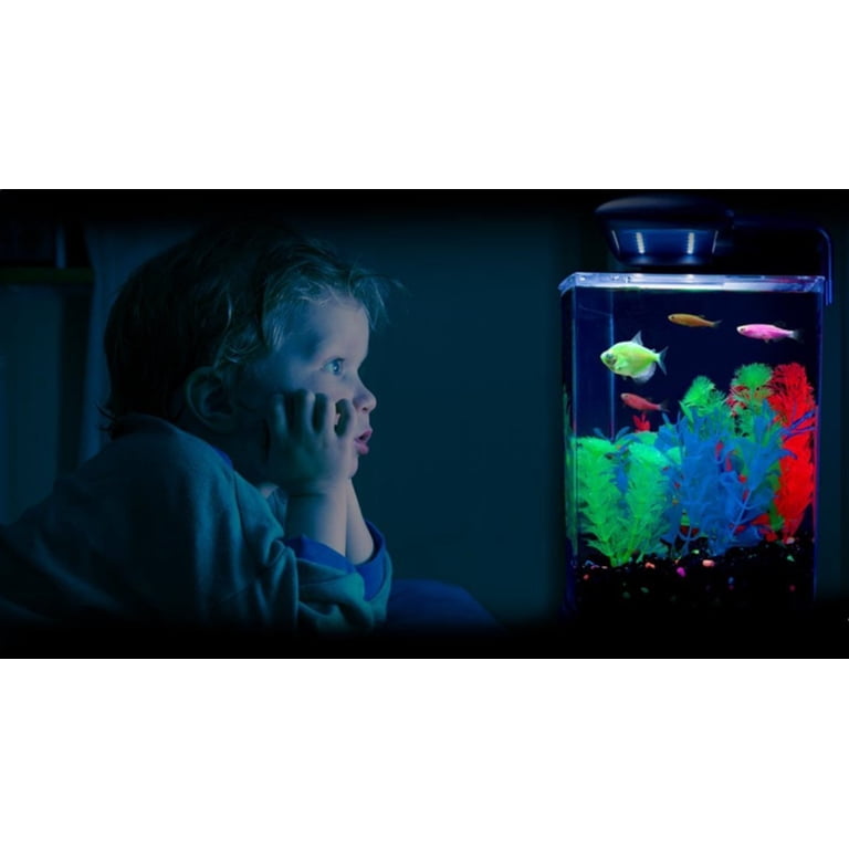 GloFish Aquarium Accent Gravel, 5 lb photo 4