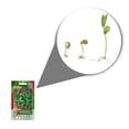thumbnail image 2 of Semillas Hierbabuena Vita, 2 of 5