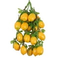 thumbnail image 2 of 5 piezas de decoración de jardín para el hogar coloridas frutas artificiales/verduras cuerdas 9 Zulema Las frutas / hortalizas cuerdas, 2 of 7