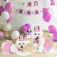 thumbnail image 3 of Byepica 3PCS Pet Dog Cat Birthday Party Costume Set Pet Birthday Hats for Dogs Party Hats Pet Dresses, 3 of 11