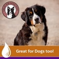 thumbnail image 5 of Acondicionador para pieles de animales Farnam Vetrolin Shine 2x1895 ml, 5 of 5
