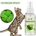 thumbnail image 2 of Catnip Spray for Cats Portable Fun for Indoor Cats and Kittens Interactive, 2 of 8